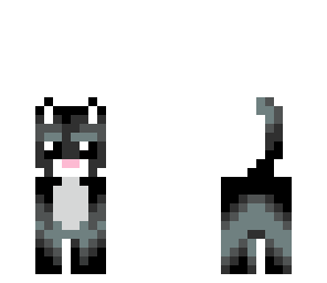 dark kitty