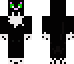 kitty
