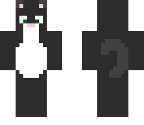 grey kitty