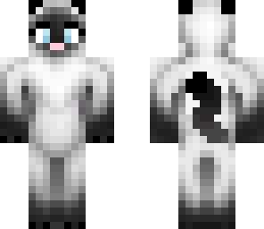 edited siamese cat