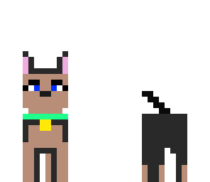 dog with mint collor