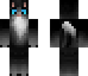 black cat