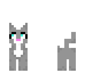 grey kitty
