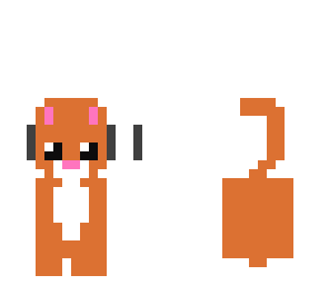 ginger cat