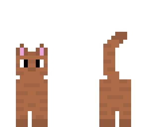 brown cat