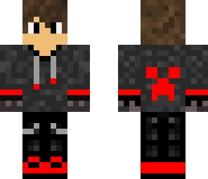 the minecraft gamer