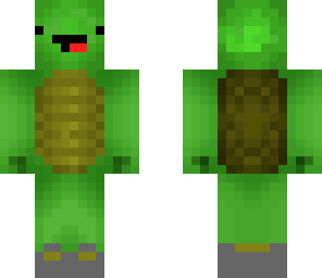 turtle dude