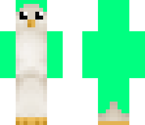 pinguin hasi