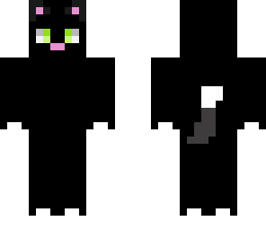 black kitten