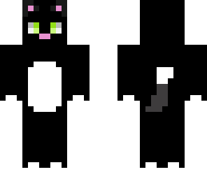 black kitten