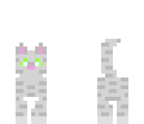 kitten