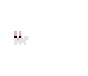 bunny