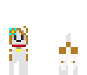 cute dog