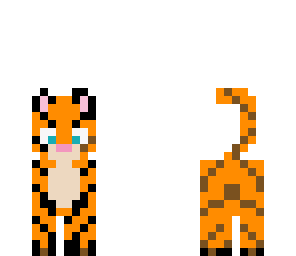 tiger animal