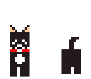 cute dog