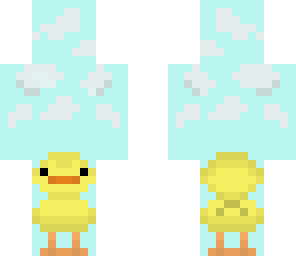 cute baby duck