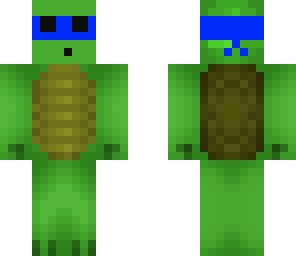 dyplay8000 tortle