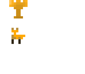 contest winners and prizes