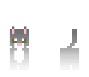 grey cat