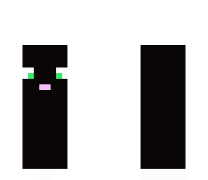 cute cat