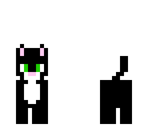 black cat