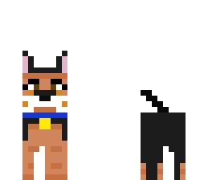 dog