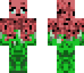 cuute watermelon