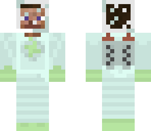 space mission steve