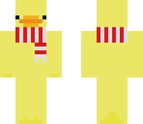 ducky with scarf
