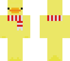 ducky with scarf