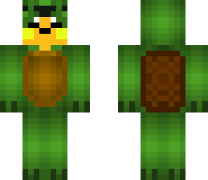 turtle raichu