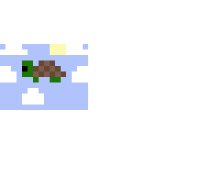 flying turtle
