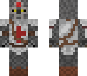 raccoon knight