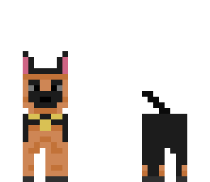 perro de caza 