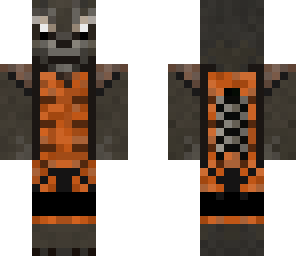 racoon
