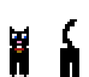 black cat