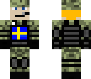 swe soldier