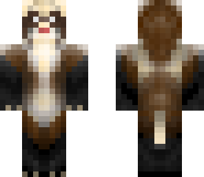 ferret