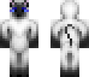 siamese cat