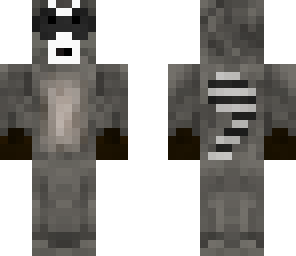 raccoon
