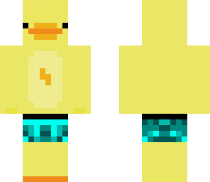 beach duck