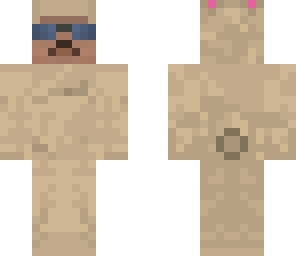 skin for ace235150