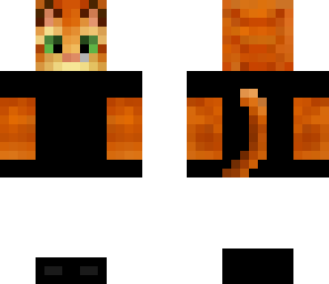 cat spy