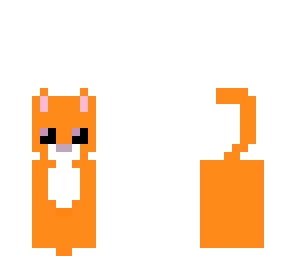 kitty cat
