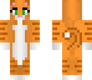orange cat