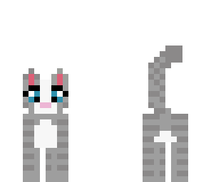 kitty cat