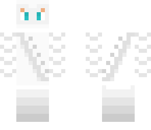 white ninja