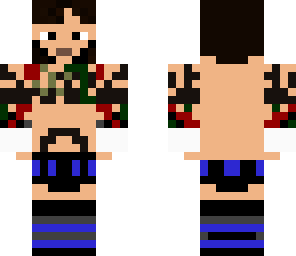 cm punk 2014 fix