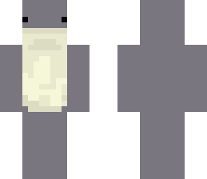 dolphin