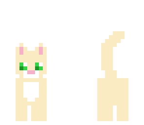 kittykitty